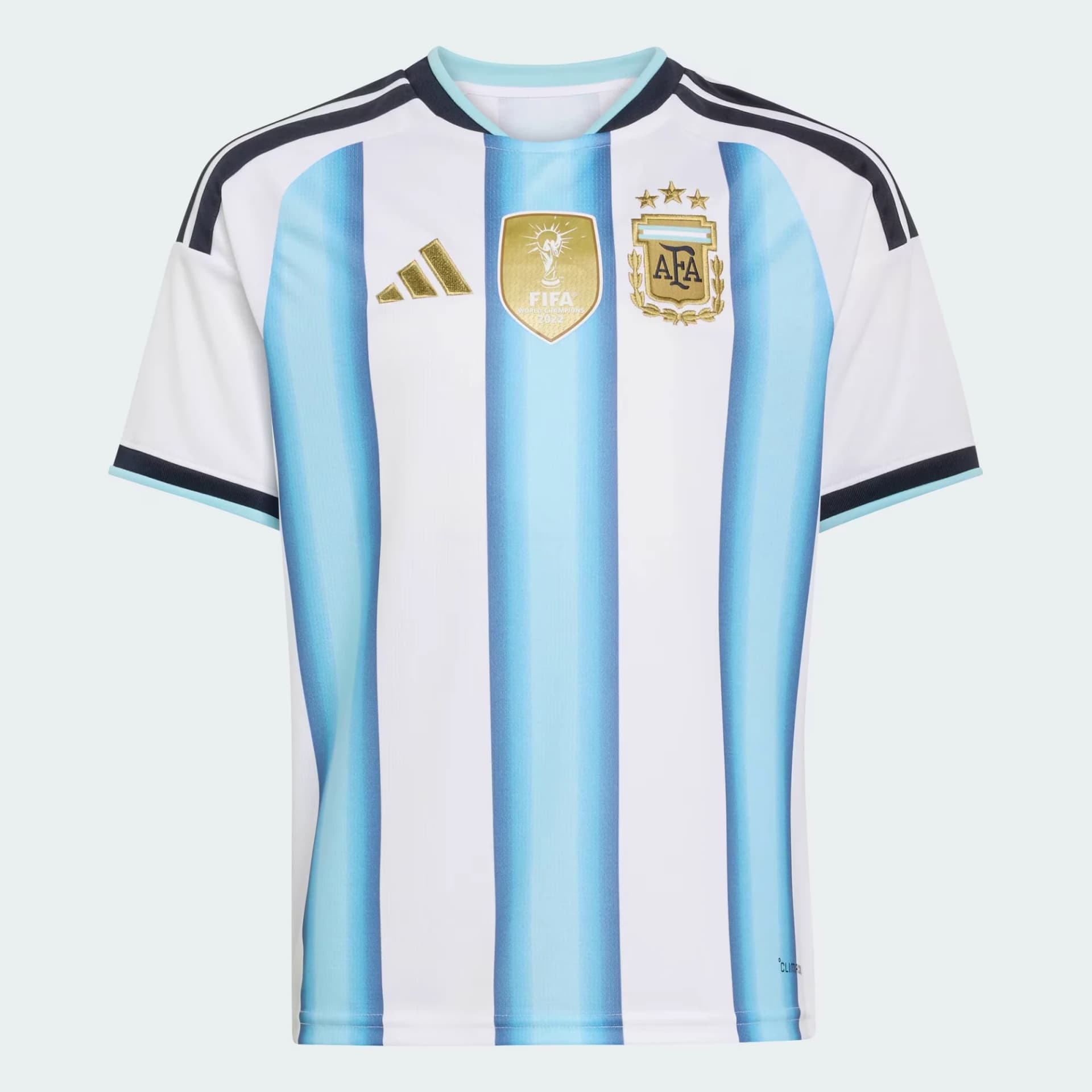 Camiseta Titular Selección Argentina 26 Niños